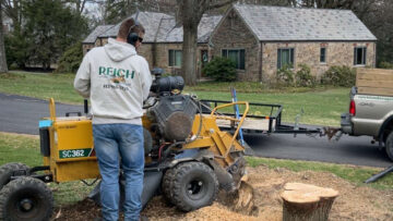 How Stump Grinding In Mars Is The Real Reset Button For Unlocking Your Yard’s Beauty