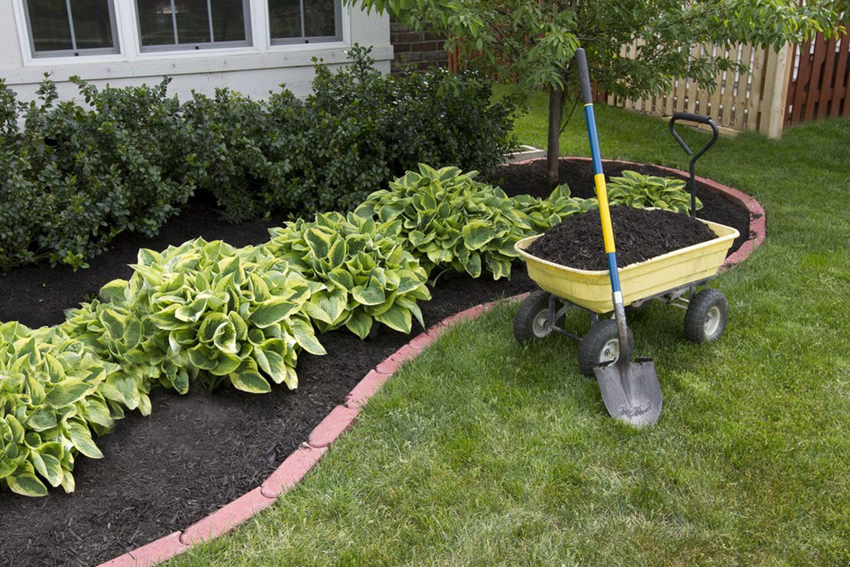 Pristine Edging & Mulching