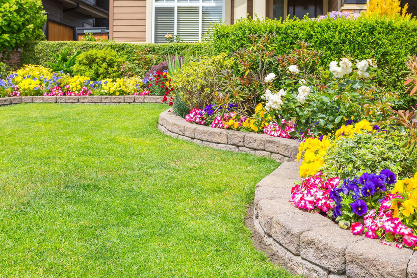 Landscape Design & Installation