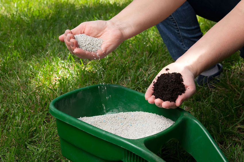 Fertilization & Aeration Services