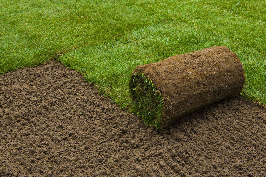 Lawn Installation