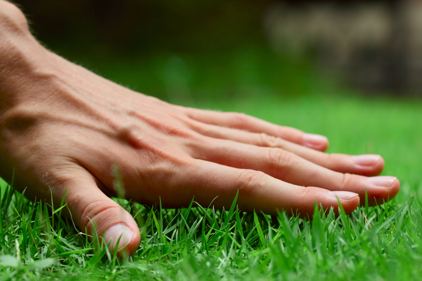 Expert Lawn Services