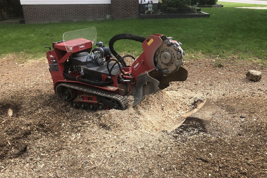 Stump Grinding